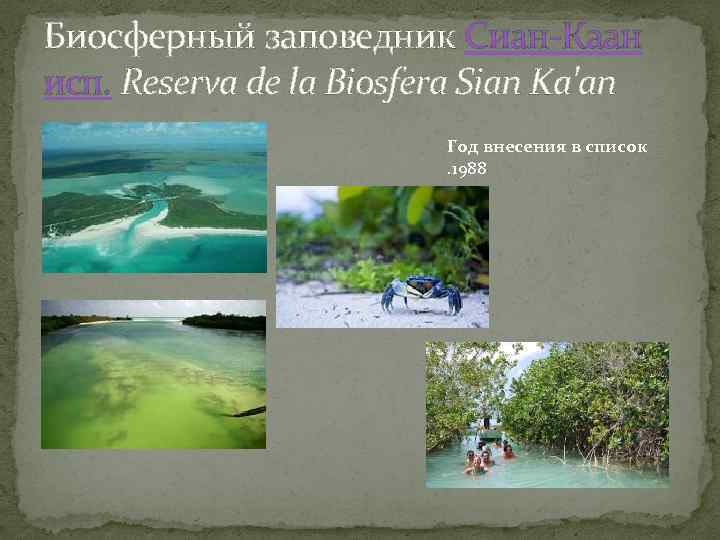 Биосферный заповедник Сиан-Каан исп. Reserva de la Biosfera Sian Ka'an Год внесения в список.