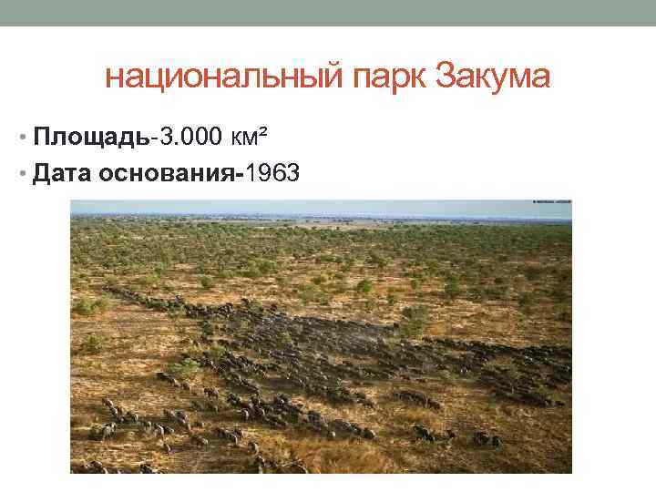 национальный парк Закума • Площадь-3. 000 км² • Дата основания-1963 