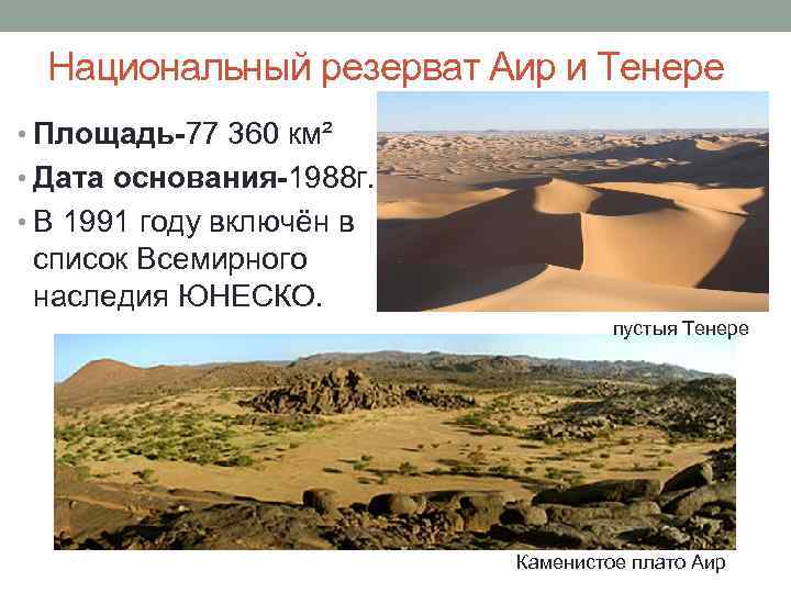 Национальный резерват Аир и Тенере • Площадь-77 360 км² • Дата основания-1988 г. •