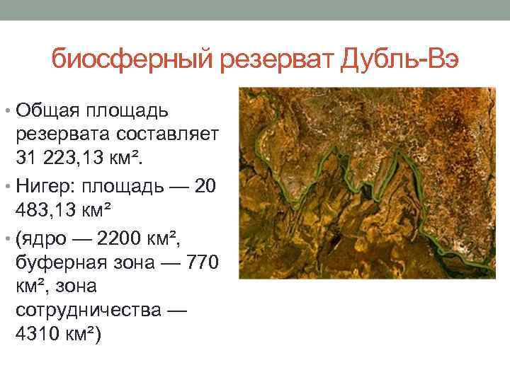 биосферный резерват Дубль-Вэ • Общая площадь резервата составляет 31 223, 13 км². • Нигер: