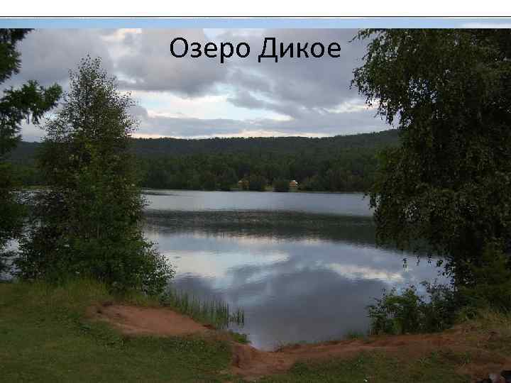 Озеро Дикое 