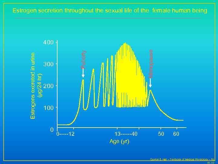 Estrogen secretion throughout the sexual life of the female human being Menopause Puberty Estrogens