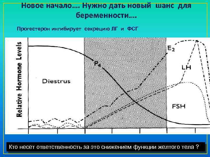 Новое начало…. Нужно дать новый шанс для беременности…. Прогестерон ингибирует секрецию ЛГ и ФСГ