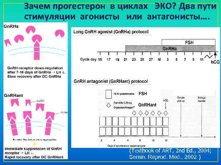 Зачем прогестерон в циклах ЭКО? Два пути стимуляции агонисты или антагонисты…. (Textbook of ART,