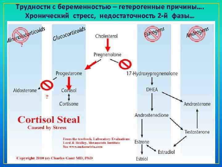 Трудности с беременностью – гетерогенные причины…. Хронический стресс, недостаточность 2 -й фазы… 