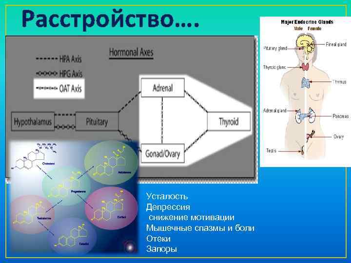 Реклама спазм или боль какая картина