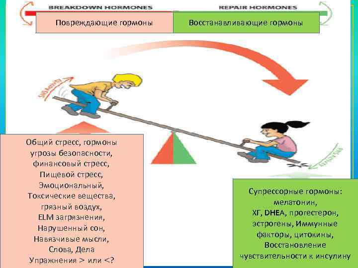 Повреждающие гормоны Общий стресс, гормоны угрозы безопасности, финансовый стресс, Пищевой стресс, Эмоциональный, Токсические вещества,