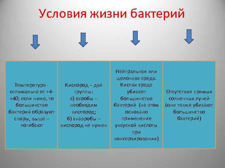 Условия жизни бактерий Температура оптимальна от +4+40; если ниже, то большинство бактерий образуют споры,