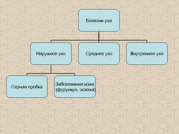Болезни уха Наружное ухо Серная пробка Среднее ухо Заболевания кожи (фурункул, экзема) Внутреннее ухо