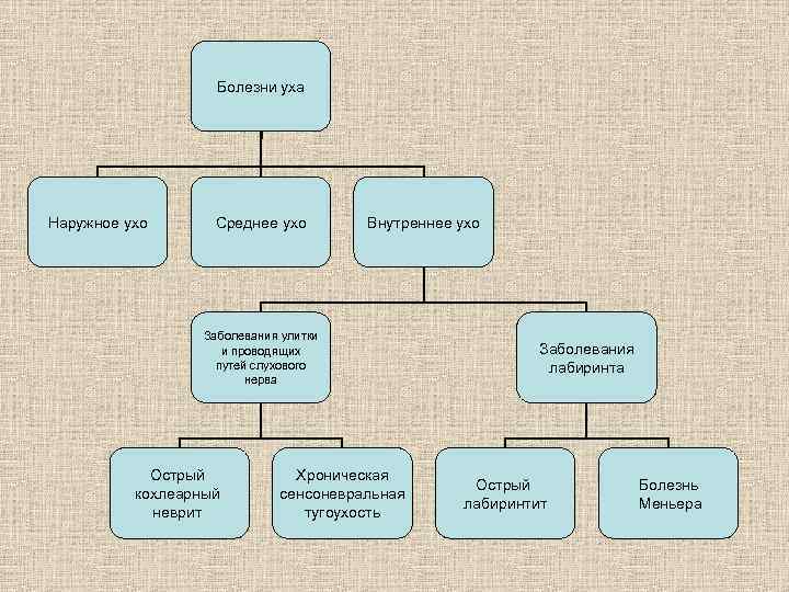 Болезни уха Наружное ухо Среднее ухо Внутреннее ухо Заболевания улитки и проводящих путей слухового