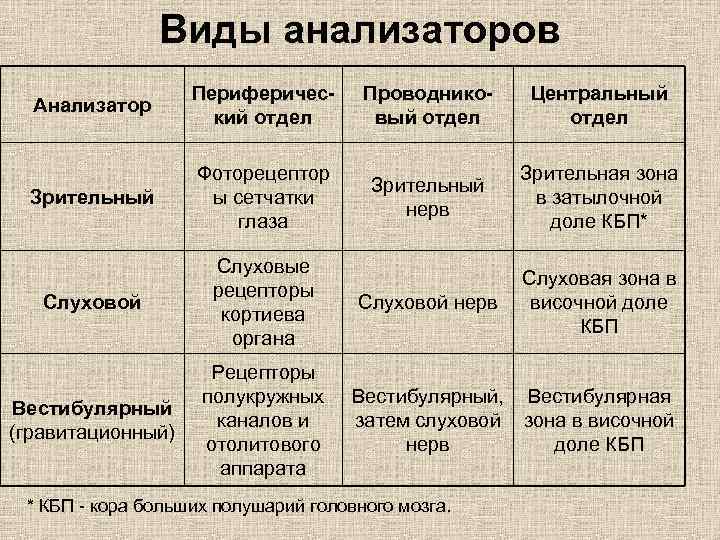 5 анализаторов. Виды анализаторов. Виды анализаторов таблица. Анализаторы человека таблица. Виды анализаторов человека таблица.