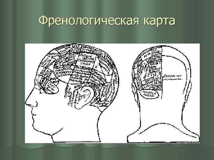 Френологическая карта 