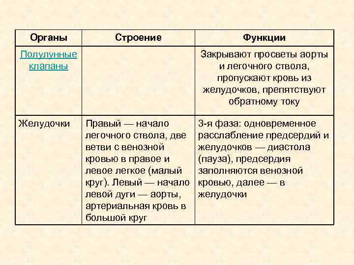 Органы Строение Полулунные клапаны Желудочки Функции Закрывают просветы аорты и легочного ствола, пропускают кровь