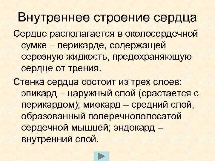 Внутреннее строение сердца Сердце располагается в околосердечной сумке – перикарде, содержащей серозную жидкость, предохраняющую