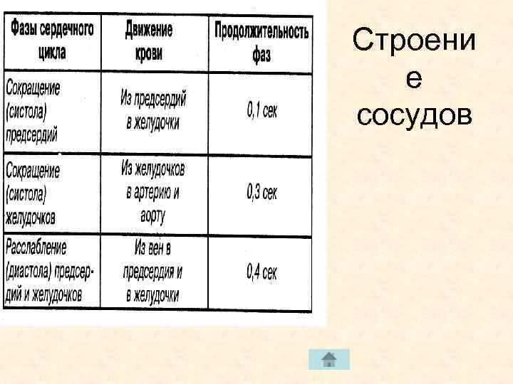 Строени е сосудов 