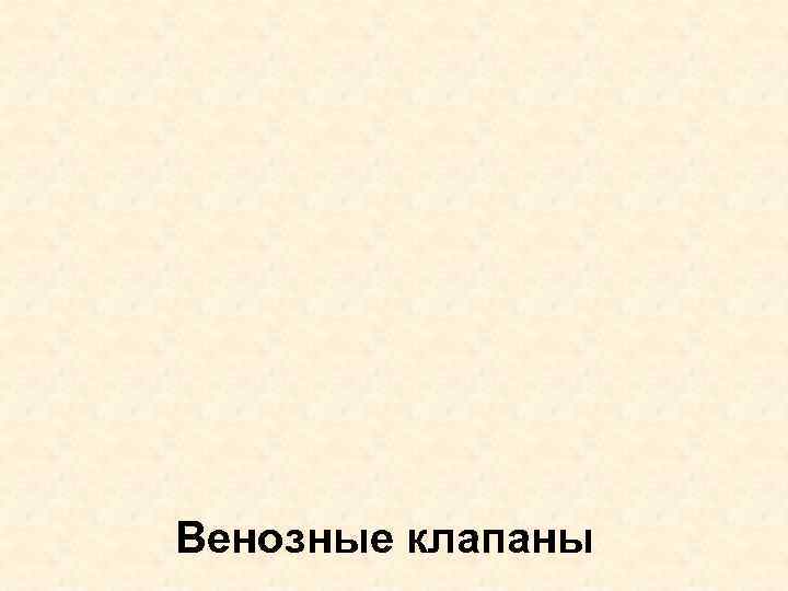 Венозные клапаны 