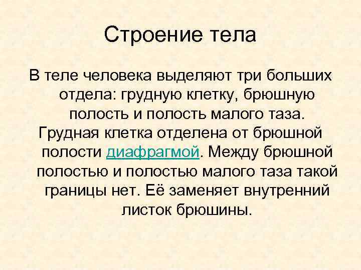 Строение тела В теле человека выделяют три больших отдела: грудную клетку, брюшную полость и