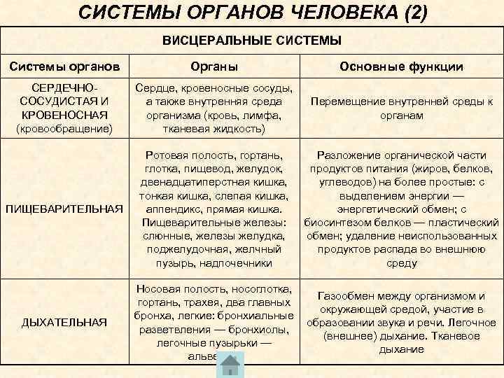 СИСТЕМЫ ОРГАНОВ ЧЕЛОВЕКА (2) ВИСЦЕРАЛЬНЫЕ СИСТЕМЫ Системы органов Органы Основные функции СЕРДЕЧНОСОСУДИСТАЯ И КРОВЕНОСНАЯ