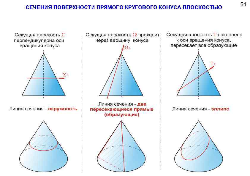 Прямой круговой конус. Сечение конуса плоскостью через основание. Конус сечения конуса плоскостями. Круговое сечение конуса. Геометрическая форма сечения конуса плоскостью.