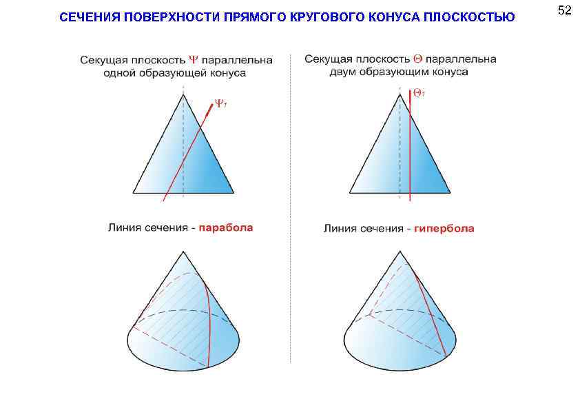 Прямой круговой конус. Сечение конической поверхности плоскостью. Конус сечения конуса плоскостями. Круговое сечение конуса. Сечение поверхности плоскостью конус.