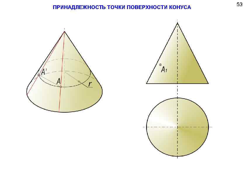 ПРИНАДЛЕЖНОСТЬ ТОЧКИ ПОВЕРХНОСТИ КОНУСА 53 