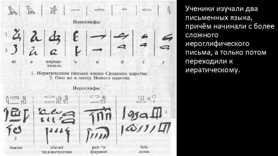 Ученики изучали два письменных языка, причём начинали с более сложного иероглифического письма, а только