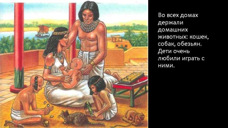 Во всех домах держали домашних животных: кошек, собак, обезьян. Дети очень любили играть с