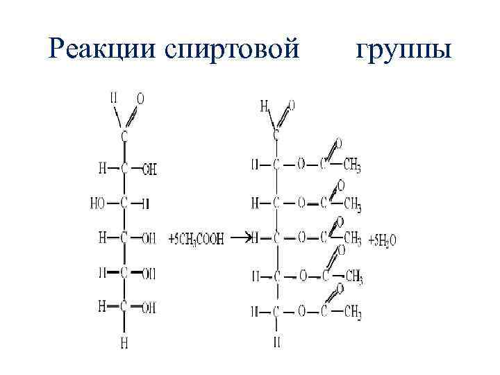 Реакции спиртовой группы 