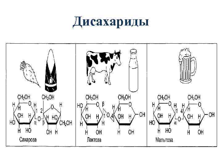 Дисахариды 