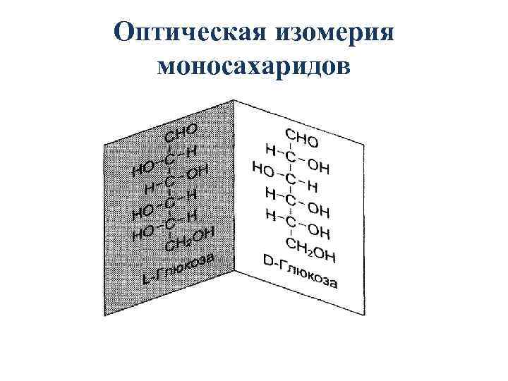 Оптическая изомерия моносахаридов 