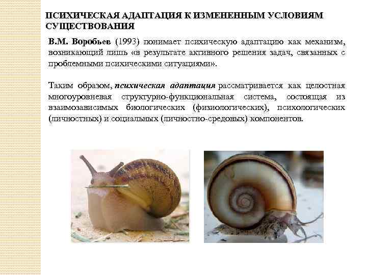 ПСИХИЧЕСКАЯ АДАПТАЦИЯ К ИЗМЕНЕННЫМ УСЛОВИЯМ СУЩЕСТВОВАНИЯ В. М. Воробьев (1993) понимает психическую адаптацию как