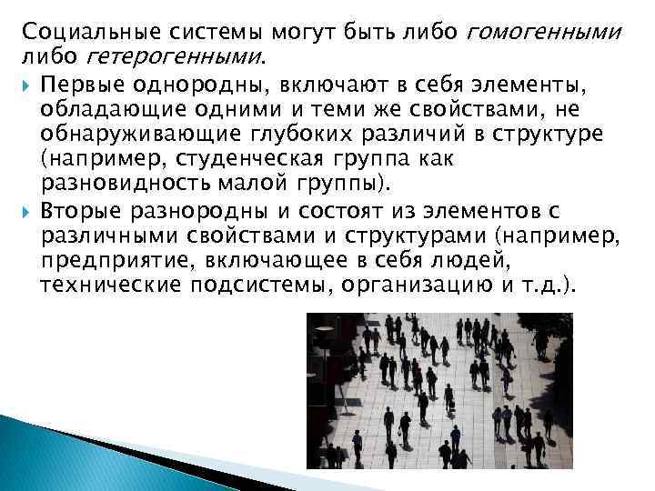 Социальные системы могут быть либо гомогенными либо гетерогенными. Первые однородны, включают в себя элементы,