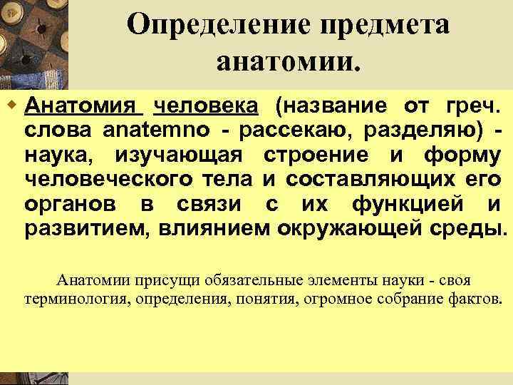 Анатомия определение