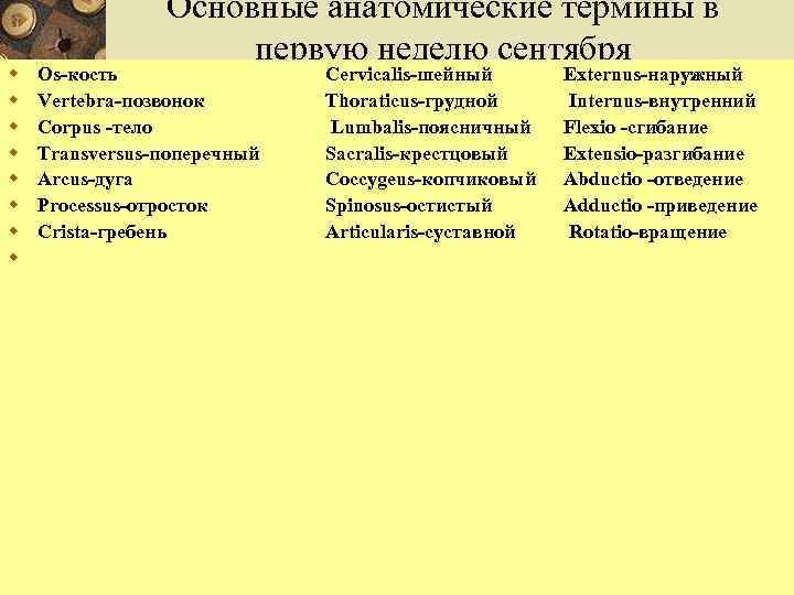 w w w w Основные анатомические термины в первую неделю сентября Os-кость Vertebra-позвонок Corpus