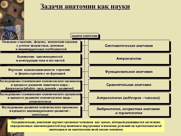 Предмет науки анатомии. Задачи анатомии. Задачи изучения анатомии. Цели анатомии. Задачи анатомии как науки.