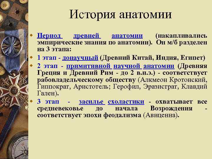 История анатомии w Период древней анатомии (накапливались эмпирические знания по анатомии). Он м/б разделен