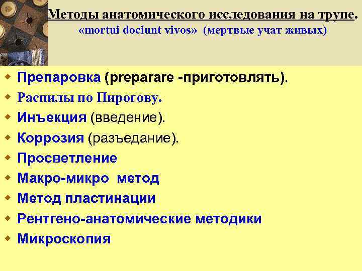 Методы анатомического исследования на трупе. «mortui dociunt vivos» (мертвые учат живых) w w w