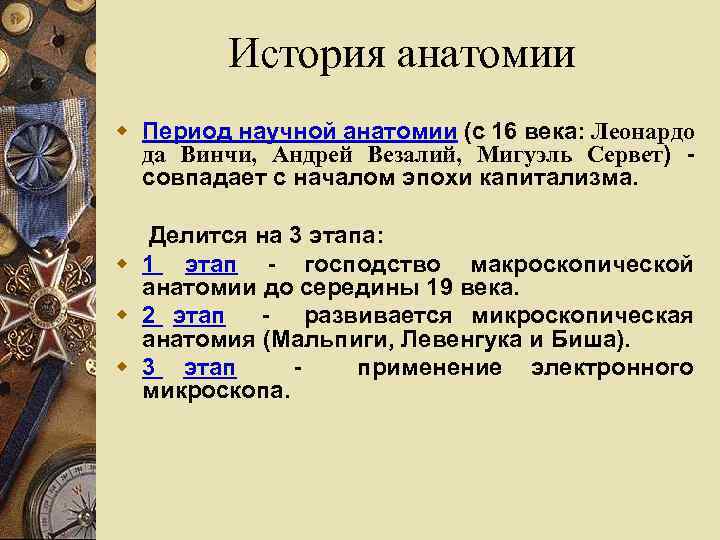 История анатомии w Период научной анатомии (с 16 века: Леонардо да Винчи, Андрей Везалий,