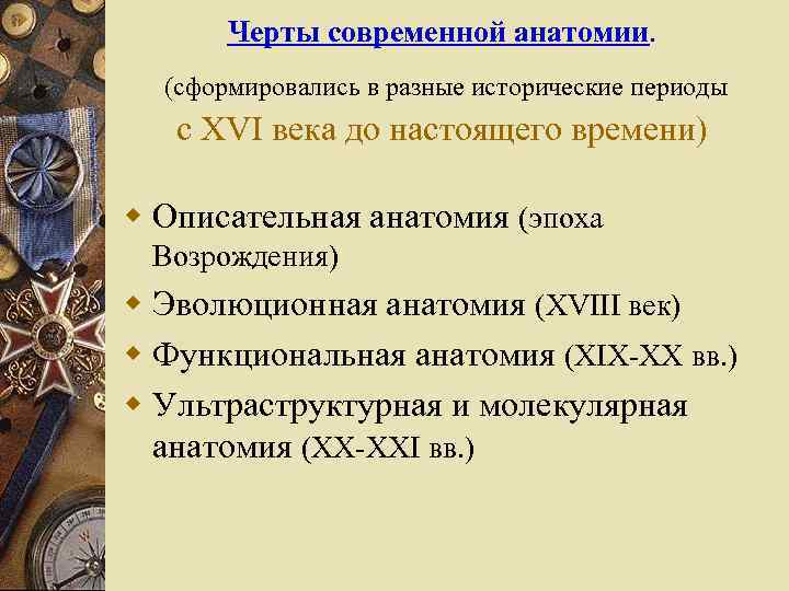 Черты современной анатомии. (сформировались в разные исторические периоды с XVI века до настоящего времени)