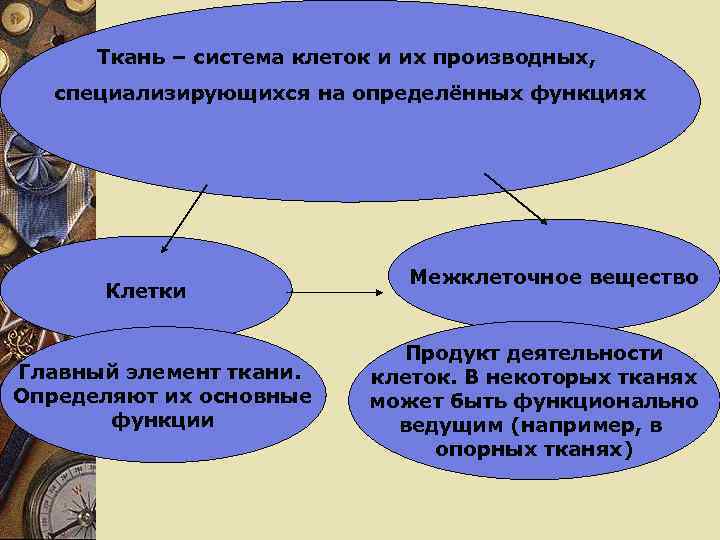 Ткань – система клеток и их производных, специализирующихся на определённых функциях Клетки Главный элемент