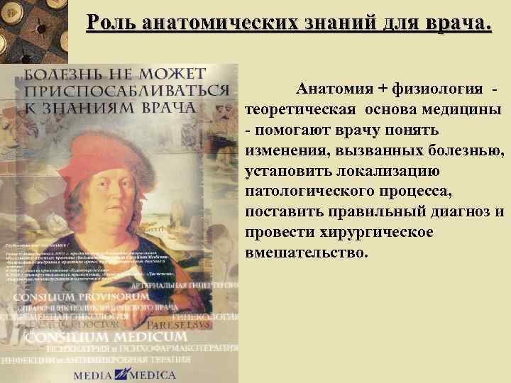 Pоль анатомических знаний для врача. Анатомия + физиология теоретическая основа медицины - помогают врачу