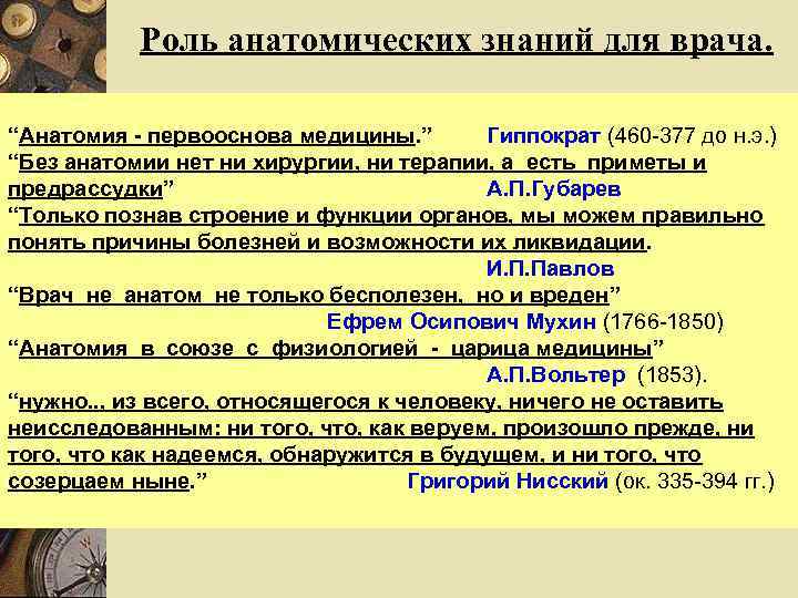 Pоль анатомических знаний для врача. “Анатомия - первооснова медицины. ” Гиппократ (460 -377 до