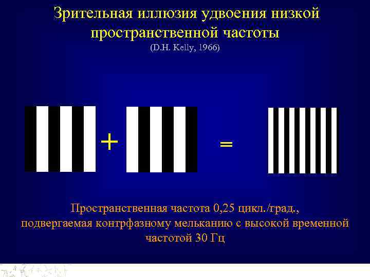 Зрительная иллюзия удвоения низкой пространственной частоты (D. H. Kelly, 1966) + = Пространственная частота