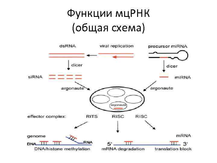 Мц 31 схема