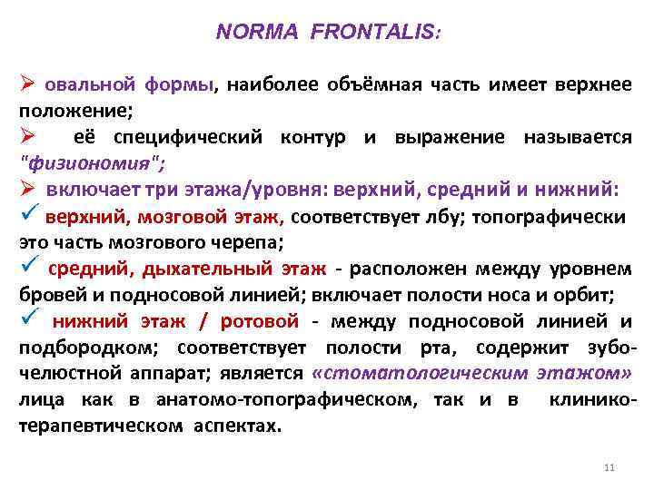 NORMA FRONTALIS: Ø овальной формы, наиболее объёмная часть имеет верхнее положение; Ø её специфический