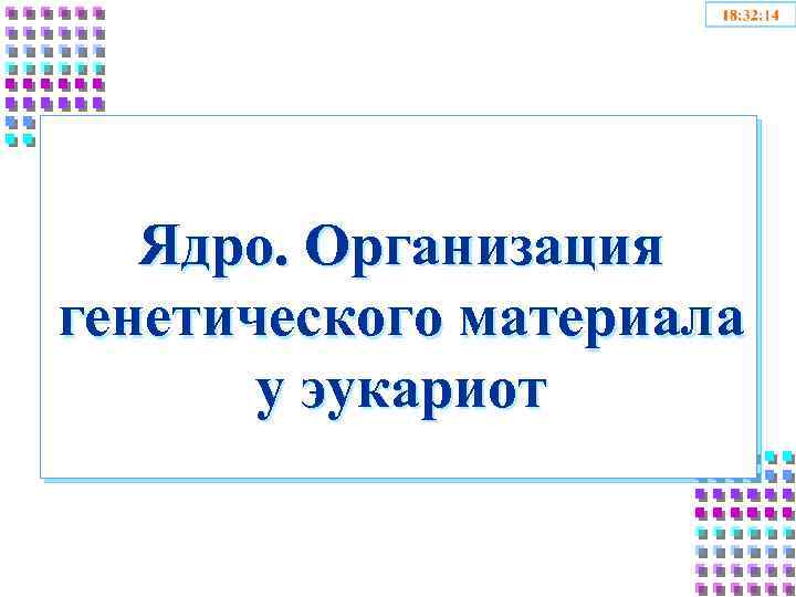 Ядро. Организация генетического материала у эукариот 