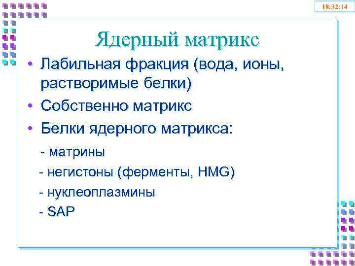 Ядерный матрикс • Лабильная фракция (вода, ионы, растворимые белки) • Собственно матрикс • Белки