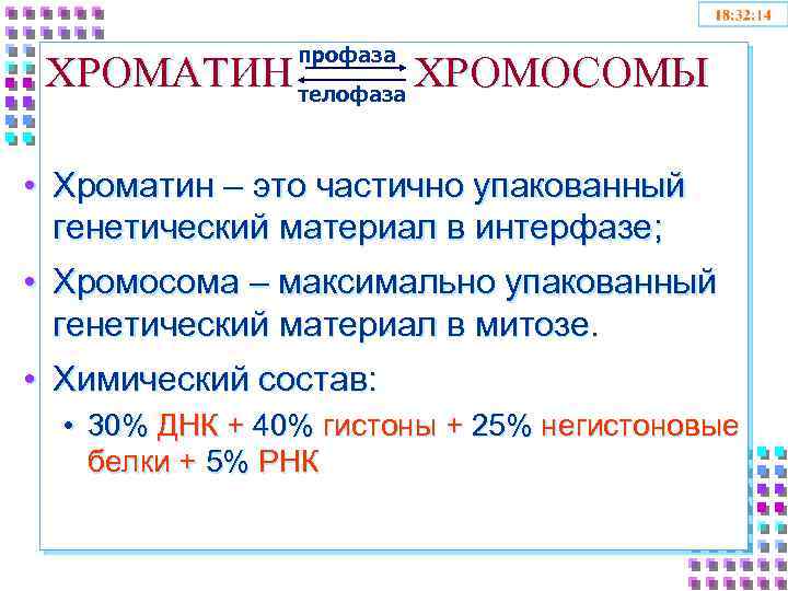профаза ХРОМАТИН телофаза ХРОМОСОМЫ • Хроматин – это частично упакованный генетический материал в интерфазе;