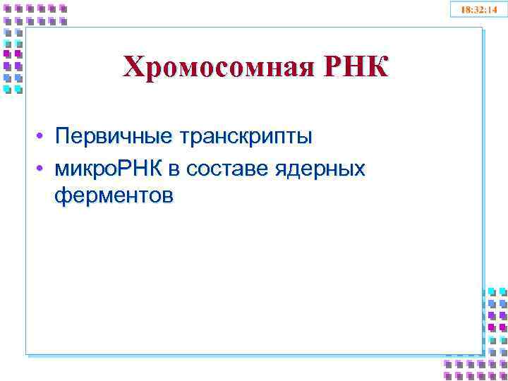 Хромосомная РНК • Первичные транскрипты • микро. РНК в составе ядерных ферментов 