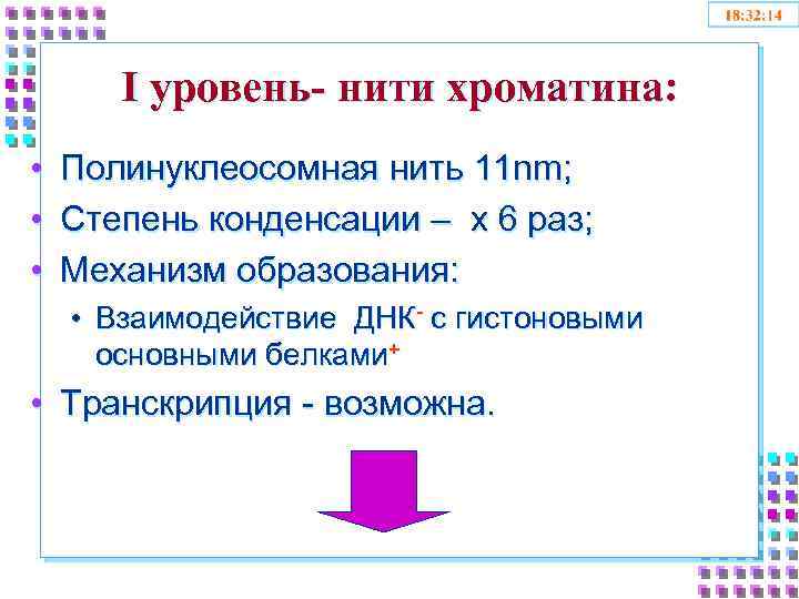 I уровень- нити хроматина: • Полинуклеосомная нить 11 nm; • Степень конденсации – x